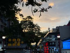 -金砂公园