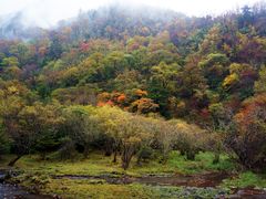 -叠溪松坪沟景区