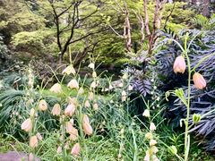 -杭州植物园