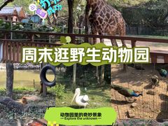 -深圳野生动物园
