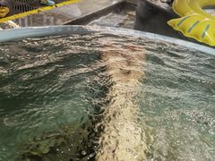 -青水瓦台汤泉(未央店)