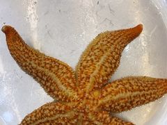 -船梆煮•蒸汽海鲜·生腌干蒸(五四广场店)