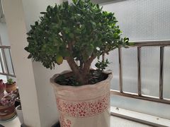 -彤德莱火锅(薛家岛利群店)