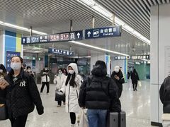 -宋家庄(地铁站)
