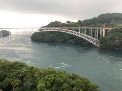 -歌诗达邮轮(宝杨路码头)
