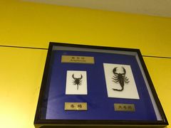 -上海昆虫博物馆