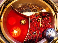 奔驰鸳鸯锅-小龙坎老火锅(北京三里屯店)