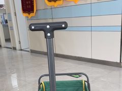 -中农国际动物医院24小时·猫科·骨科·急重症中心