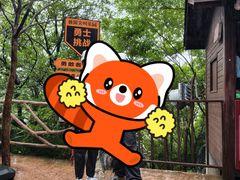 -千岛湖石林