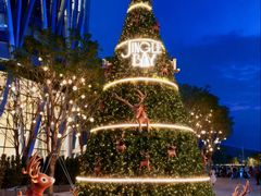 -深圳湾万象城(南山店)