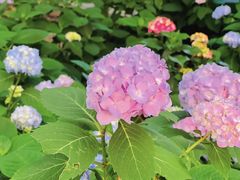 -常州古运河南大街文化旅游区-人民公园