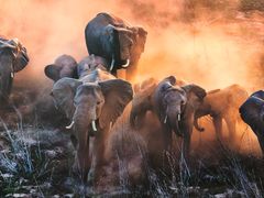 -罗红摄影艺术馆