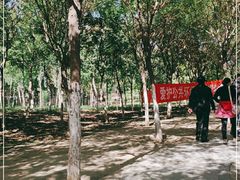 -西青郊野公园
