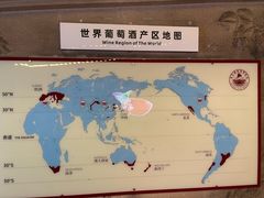 -青岛葡萄酒博物馆