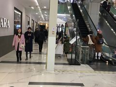 -凯德MALL(望京店)