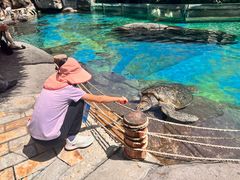 -海合安成都极地海洋公园