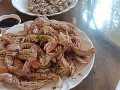 -那琴半岛地质海洋公园