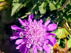 -白草畔自然风景区