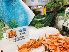 -金环海鲜自助(大坪时代天街店)