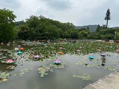 -白马涧龙池景区