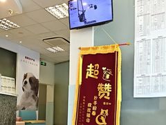-瑞派申生动物医院·24H夜诊·国际动物医疗中心·骨外科(吴中路店)