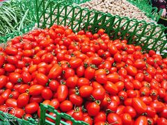 -幸福荣耀超市(学院路店)