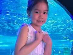 -海合安武汉极地海洋公园