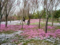 -南通洲际绿博园