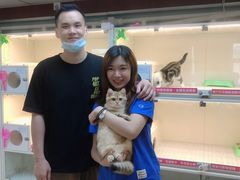 -lincat·猫舍(广州店)