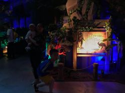 -恐龙探索乐园(磁器口店)