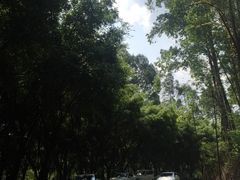 -大雁山风景区