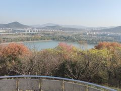 -羊山湖公园