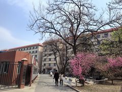 -中国政法大学(昌平校区)
