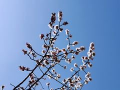 -鬼笑石后山停车场