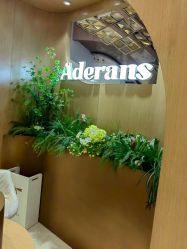 -爱德兰丝Aderans