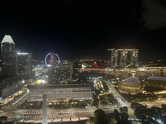 -新加坡瑞士史丹福酒店