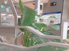 -湊湊火锅·茶憩(皇姑万象汇店)