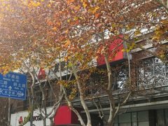 -广发银行24小时自助银行服务(上海徐汇支行)