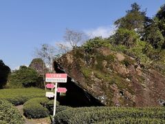 -武夷山风景名胜区-虎啸岩