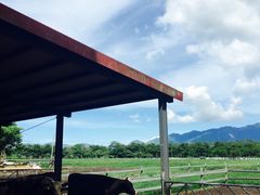 -瑞穗牧场