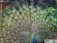 -梅州瑞山生态旅游度假村