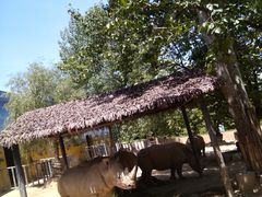 -西安秦岭野生动物园