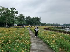 -海珠湖公园