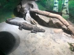 -上海大自然野生昆虫馆