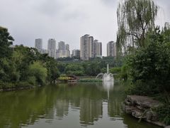 -龙头寺公园