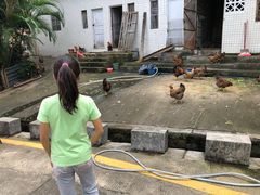 -广州市流溪河国家森林公园