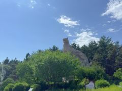 -帽儿山国家森林公园