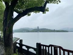 -杭州西湖柳莺里酒店
