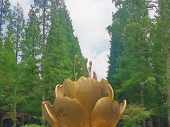 -东平国家森林公园