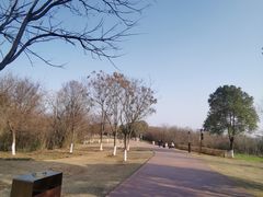 -盘龙城国家考古遗址公园